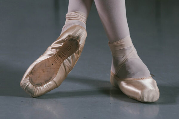 Bloch_pointe Bloch Pointe Shoe